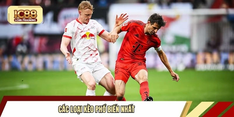 Các loại kèo phổ biến nhất