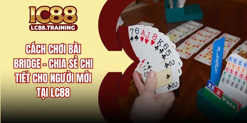 Cách Chơi Bài Bridge