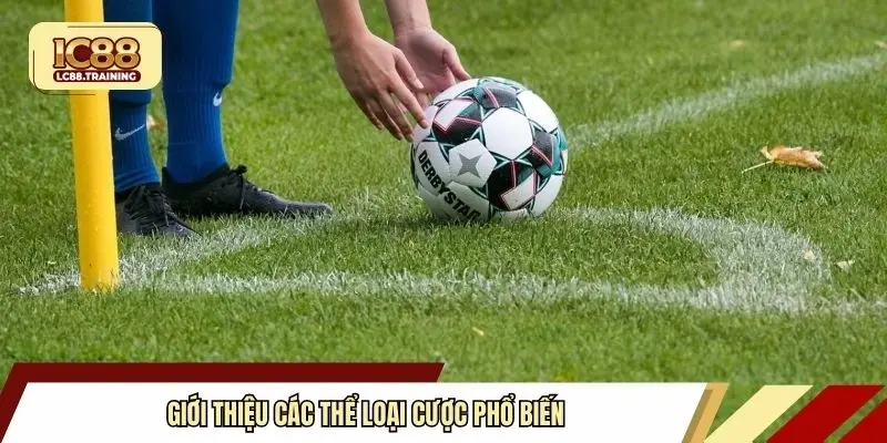 Giới thiệu các thể loại cược phổ biến