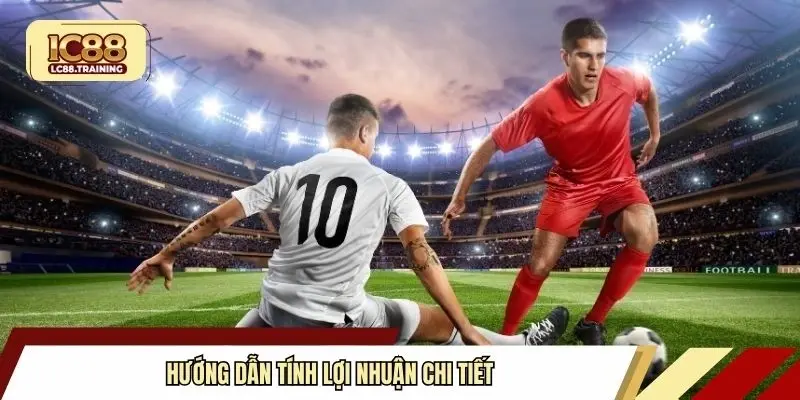 Hướng dẫn tính lợi nhuận chi tiết