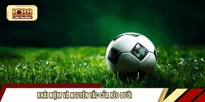 Khái niệm và nguyên tắc của kèo dưới