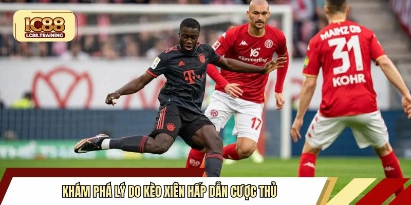 Khám phá lý do kèo xiên hấp dẫn cược thủ