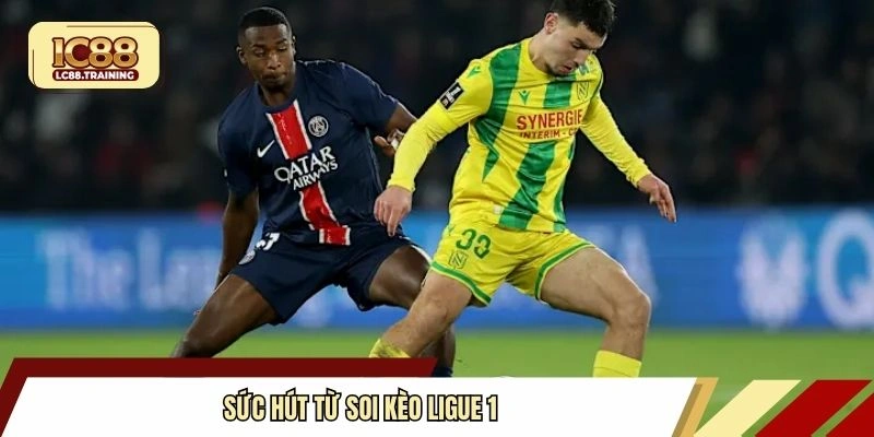 Sức hút từ soi kèo Ligue 1