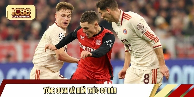 Tổng quan và kiến thức cơ bản