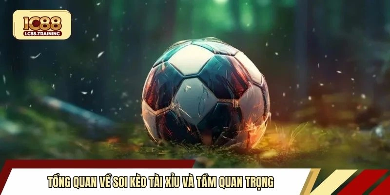 Tổng quan về soi kèo tài xỉu và tầm quan trọng